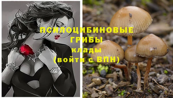 не бодяженный Киренск
